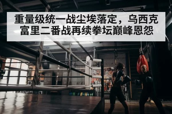 boxer training