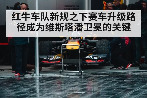 Red Bull racing team